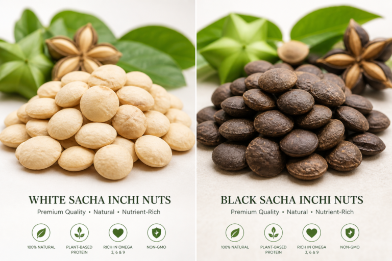 sachainchioilbanner