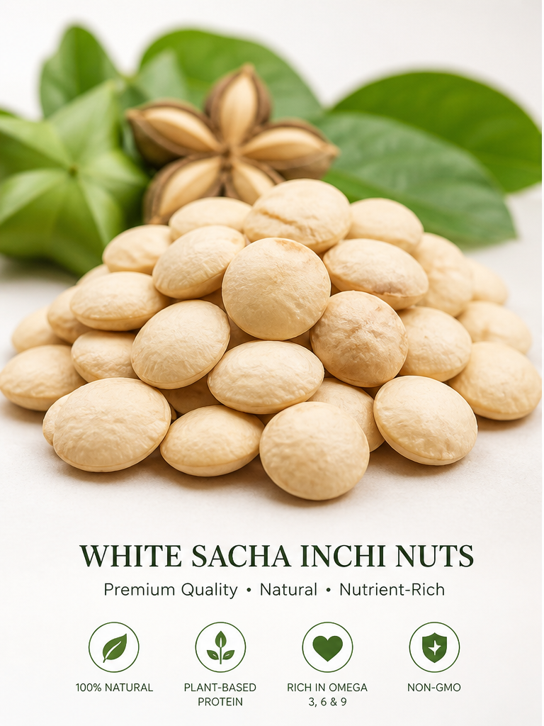 whitesachainchi